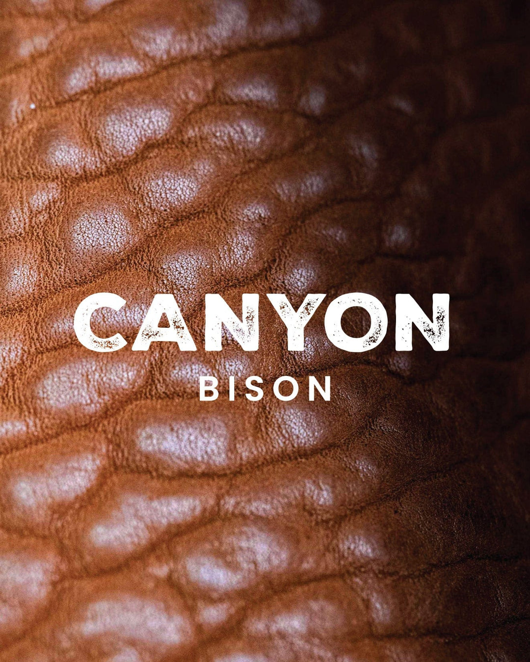 Canyon Bison